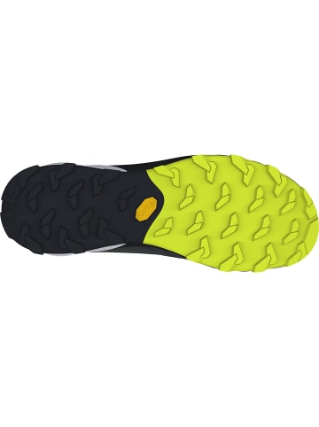 DYNAFIT TRANSALPER 2 GTX in Silber0958