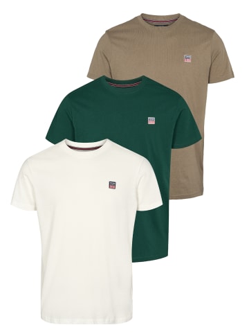 VINSON 3-pack T-shirt VMMassimo in Walnut-Botanical-cloud dancer