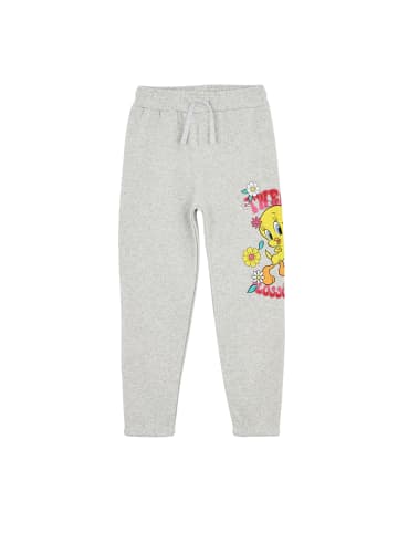 DeFacto Jogginghose JOGGER - STANDART FIT Looney Tunes in Hellgrau