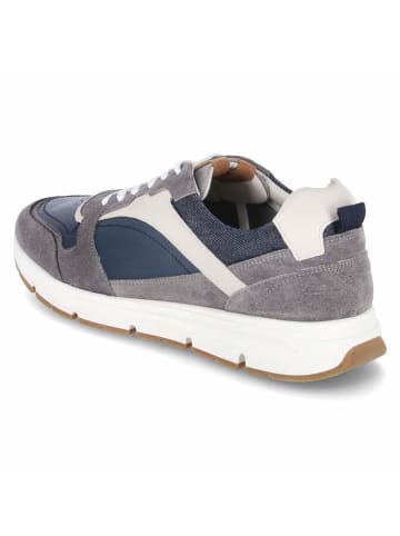 Bullboxer Low Sneaker in grau