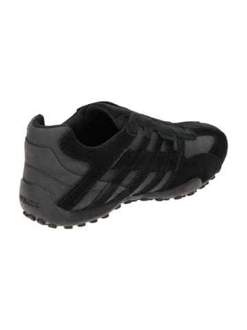 Geox Komfort Schnürschuhe in Schwarz