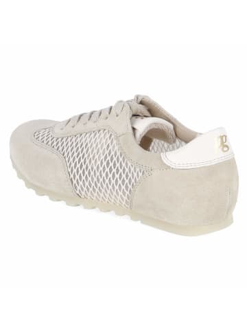 Paul Green Low Sneaker in beige