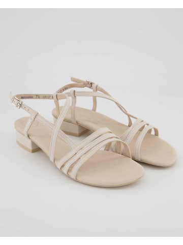 Gabor Sandalen in Beige