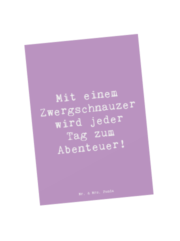 Mr. & Mrs. Panda Postkarte Spruch Zwergschnauzer Abenteuer mit S... in Lavendeltraum