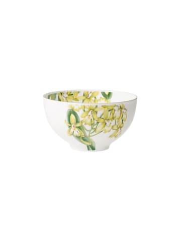 Villeroy & Boch Bol Amazonia 700 ml in bunt