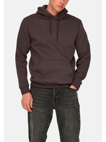 ONLY & SONS Sweatshirt / Hoodie Ceres in Mulch