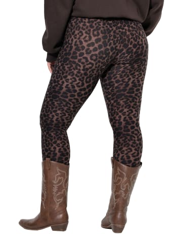 Studio Untold Leggings in pinienbraun