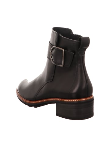 Paul Green Klassische Stiefeletten in Schwarz