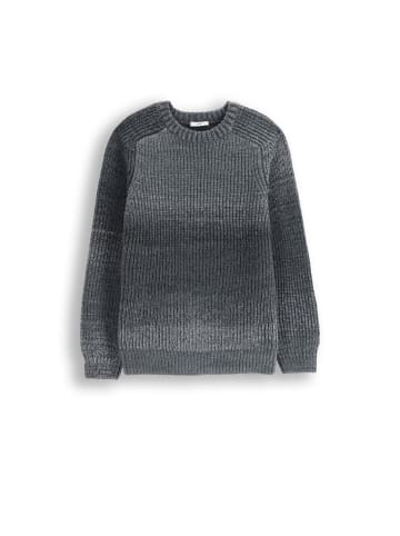 Coccodrillo Strickpullover in grau