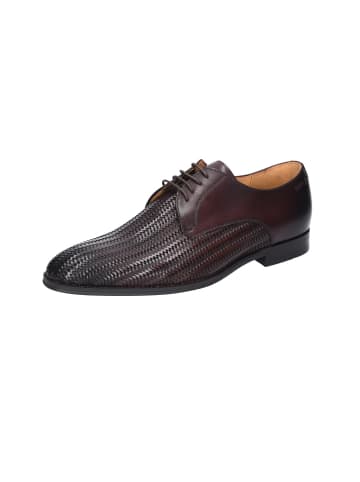 DIGEL Schnürschuh in braun