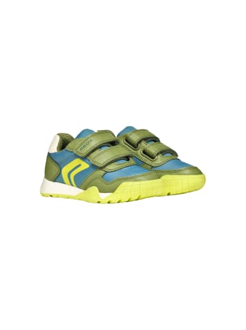 Geox Sneakers Basse aus Leder Kind J Ran E Grün