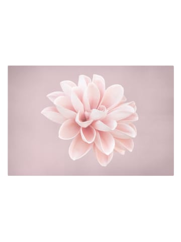 WALLART Leinwandbild - Dahlie Blume Lavendel Rosa Weiß in Rosa