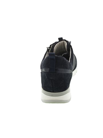 WALDLÄUFER H-Petra Schnürer Blau