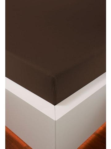 bellana jersey Spannbetttuch Edel-Jersey Elasthan in schoko