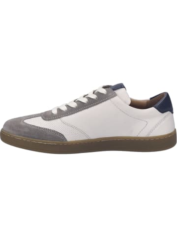 Josef Seibel Sneaker Lio 05 in grau