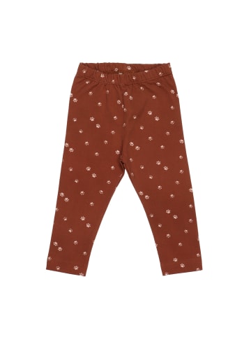 Walkiddy Leggings Paw - Leggings
