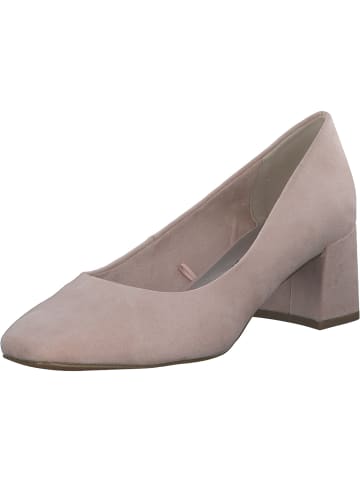 Marco Tozzi Pumps in POWDER