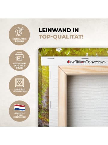 MuchoWow Leinwand Bilder Sonniger Wasserfall