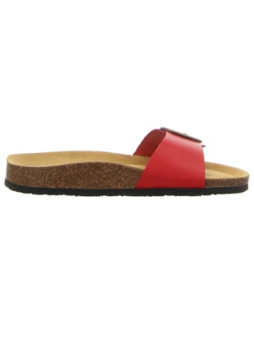 Plakton Pantolette in rot