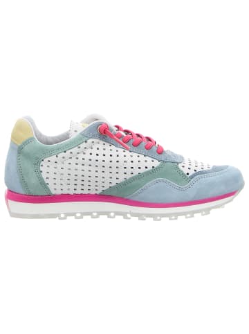 Cetti Sneaker Low in bunt
