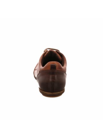 LLOYD Sneaker für Herren in braun