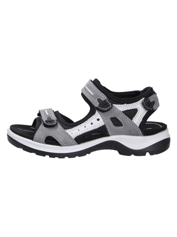 Ecco Sportsandale in grau