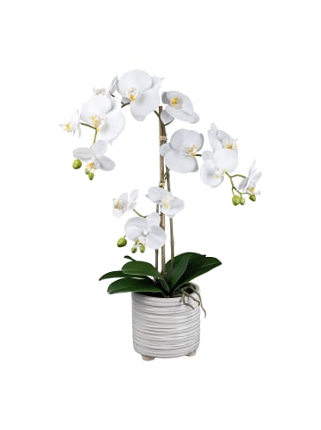 Creativ green Deko-Orchidee im Keramiktopf