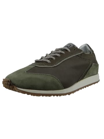 MJUS Schnürschuhe in olive