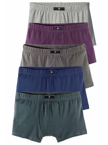 H.I.S Boxer in petrol, grau-meliert, blau, aubergine, grau