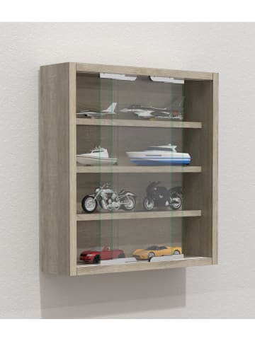 VCM  Hängevitrine Wandvitrine Sammel Deko Agisa S in Sonoma-Eiche