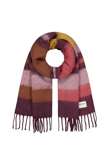 Barts ELUZABETH in bunt