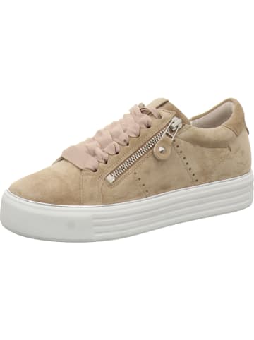 Kennel & Schmenger Sneaker in braun