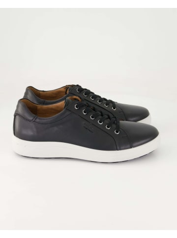 Josef Seibel Sneaker low in Schwarz