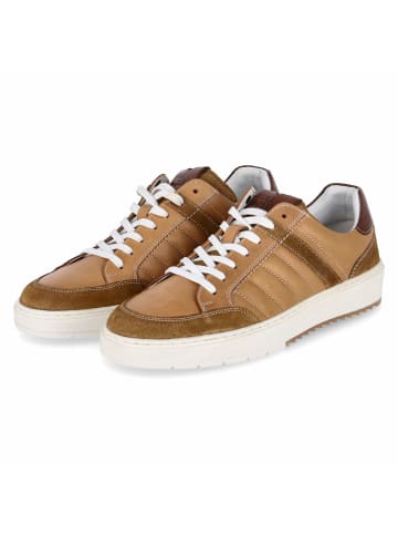 Bullboxer Low Sneaker in braun