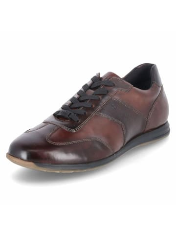 Bugatti Schnürhalbschuh in braun