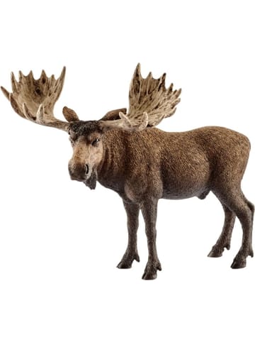 Schleich Elch Bulle in Mehrfarbig ab 3 Jahre