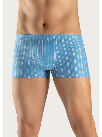 LE JOGGER Boxer in hellblau / blau / navy