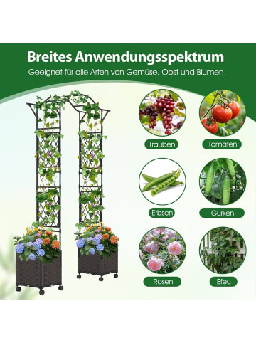 COSTWAY 2 in 1 Rosenbogen mit Blumenkasten in Schwarz