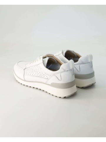 Terry Sneaker low in Weiß