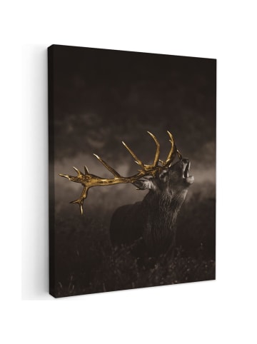 MuchoWow Leinwand bilder Hirsch (BxH)