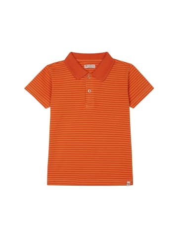 Noppies Poloshirt Lindale in Stripe pattern Dark Blue