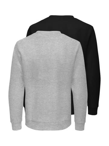 Only&Sons Sweatshirt 'CHASE' in mehrfarbig