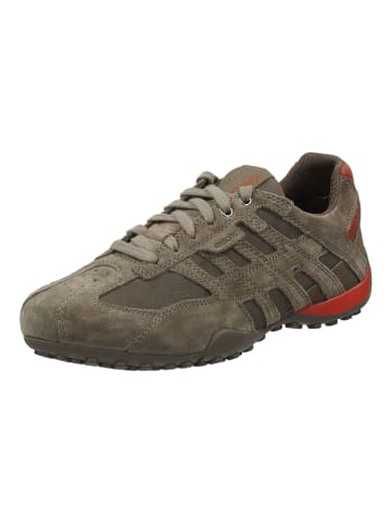 Geox Sneaker in Grau/Orange