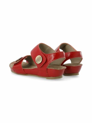 Cashott Sandalette CASAVA in Red