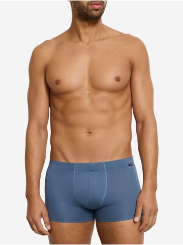 Hanro Panty Cotton Essentials in studio green / retro blue