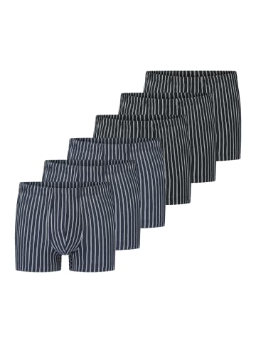 Schiesser Retro Short / Pant 95/5 Essentials Organic Cotton in Schwarz / blau