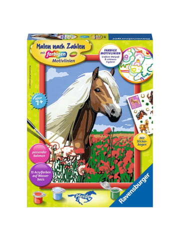 Ravensburger Malprodukte Haflinger Malen nach Zahlen Kinder 7-99 Jahre in bunt