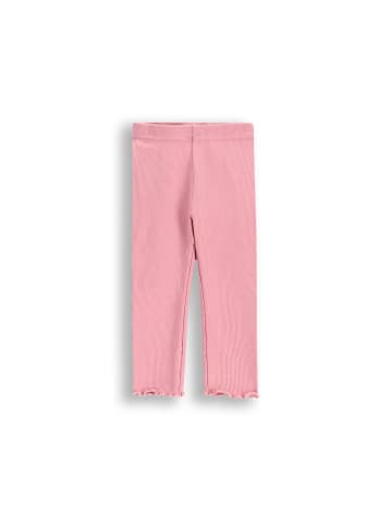 Coccodrillo Gerippte Leggings mit langem Hosenbein in gedämpftes Rosa