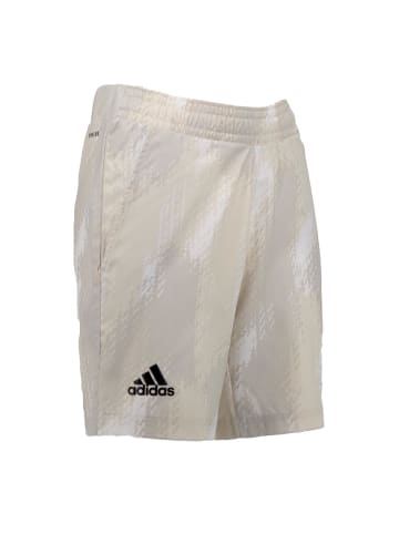 adidas Hose Tennis AOP Printed Shorts in Grau