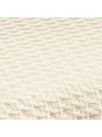 Erwin Müller Baumwolle Sommer-Decke 2er-Pack Siena in natur